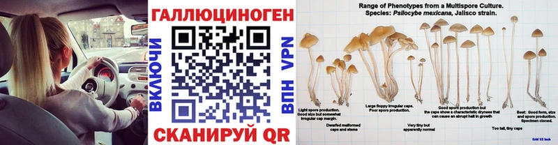 где найти наркотики  Ставрополь  Галлюциногенные грибы MAGIC MUSHROOMS 